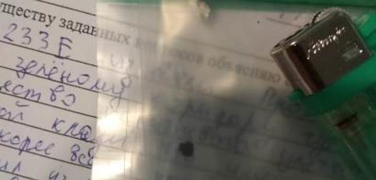Шереметьевская таможня: у пассажира из Дели обнаружен гашиш Шереметьевская таможня: у пассажира из Дели обнаружен гашиш